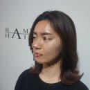 람스헤어 - 부평구 | 람스헤어