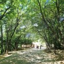 사하구장애인종합복지관 내려가는 길 | 분성산생태숲 생태체험관 나들이