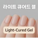 네일라이트 (Light)