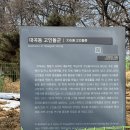 대곡동지석묘군 | 검단신도시고인돌,검단대곡동지석묘군,청동기시대유물