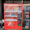 멋내는 애견 이미지