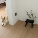 캔들나무 | 자라홈 세일 추천템 | 내돈내산 만족한 스툴, 캔들 후기