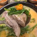 경기도 수원시 영통구 봉영로 | 경기도 수원 영통동 순대신록 영통점 순댓국 맛집 내돈내산 솔직후기 영업시간 주차정보
