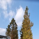 길머리 공원 이미지