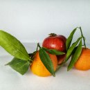 CCA
