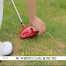 버디버디A 이미지