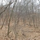 (주)농업회사법인 성산 네이버블로그