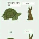 토끼와거북이 이미지