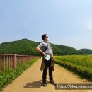 해든솔직업지원센터 이미지