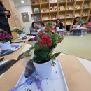 아빠와 함께하는 원예놀이 이미지