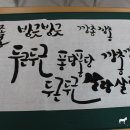 느낌있는 글씨 캘리그라피 배우기
