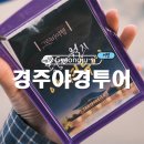 경주 그린비여행