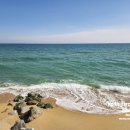 유로이비시 이미지