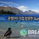 QueensTown어학원 Daum카페
