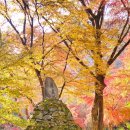 (주)장수관광개발 | 순창 강천산단풍 품격 있게 즐기기 완벽가이드