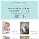 베베숲스튜디오