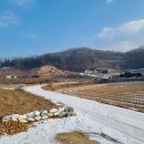 원주굽이길 원1코스 100고개길 Daum카페