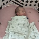 김희복 | 부산 마미캠프 산후 도우미 업체 이용 후기