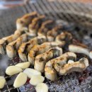 비밀장소(hidden place) 이미지