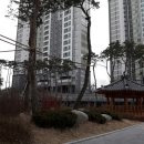 칸타빌 세탁소 네이버블로그