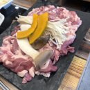 오리한마리 이미지