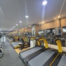 미휘트니스 이미지