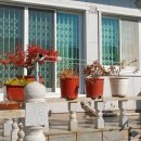 상남동293 이미지