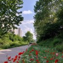 당현3교 | 당현천 산책로’ – 자연과 문화가 흐르는 힐링 공간