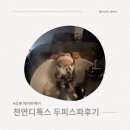 참신헤어 | 🌿두피 힐링 시간, 에이바헤어 산본점 베르스파 하프클리닉 후기