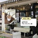 화정 분위기 좋은 카페 추천 | 알루마레 커피 로스터스 후기