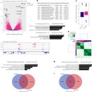 Re: 장내 유익균 단쇄지방산 --＞ 유전자 발현 조절 2025년 nature review 이미지