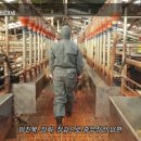 남원흑염소농장 2농장 이미지