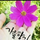 아름다운노래연습장 Daum카페