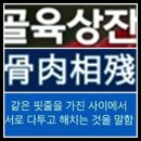 골육상잔 (骨肉相殘) 이미지