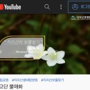 국립공원공단지리산생태탐방원 이미지