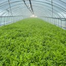 지리산농협 하나로마트 이미지