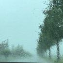 스텔라 달 마레 이미지