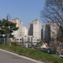 용인보건당약국 이미지