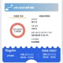 더나은여행 | 일본 삿포로 ESIM 추천, 링심 esim 유심보다 더 나은 이유 (실사용후기)