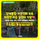 대원자연어린이집 | 춘천 시립(국공립) 어린이집 추천] 장애통합·자연친화 보육이 자랑인 착한 어린이집 &#39;장학어린이집&#39;