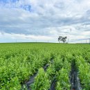 방문농장 이미지