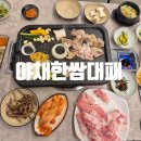 한쌈 마을 | 세종 산울동 맛집 야채한쌈대패에서 대패삼겹살 후기