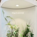 하늘온내과의원 네이버블로그