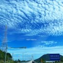 완도 여행 정도리 구계등 해변공원 몽돌해변 완도 가볼만한곳