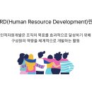 디자인플래닛지점