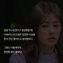 드라마 이번생은 처음이라 명대사들 이미지