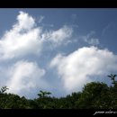 사람사는 집 이미지