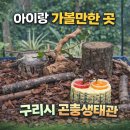 곤충생태관_1 | 구리시 아이와 가볼만한 곳 :: 나비와 곤충, 놀이터까지 있는 구리시 곤충생태관 방문후기