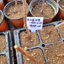 승현2농장 이미지