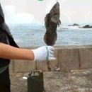 대물축산 이미지